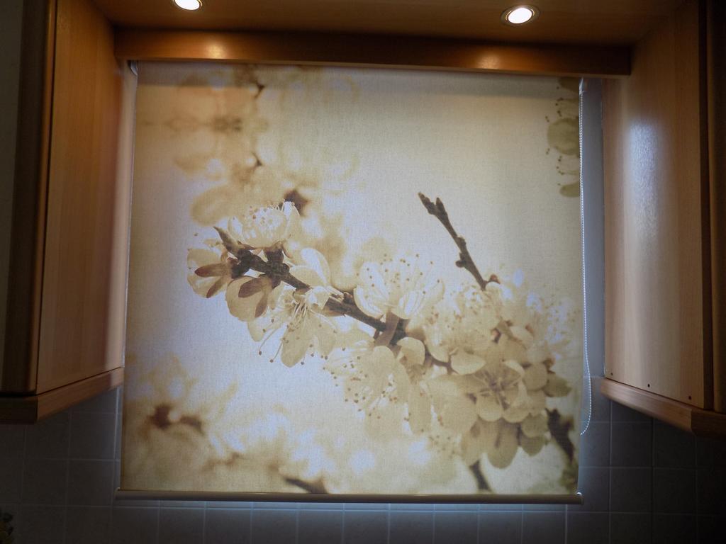 花盆综合酒店 普雷韦扎 外观 照片